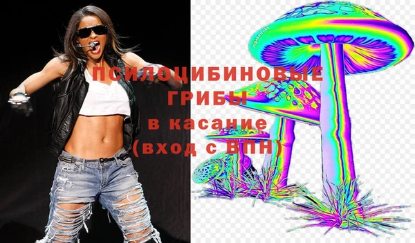 ГАЛЛЮЦИНОГЕННЫЕ ГРИБЫ Вяземский