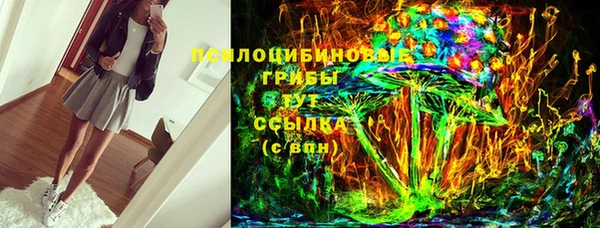 apvp Вязьма