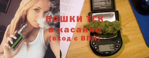 ПСИЛОЦИБИНОВЫЕ ГРИБЫ Вязники