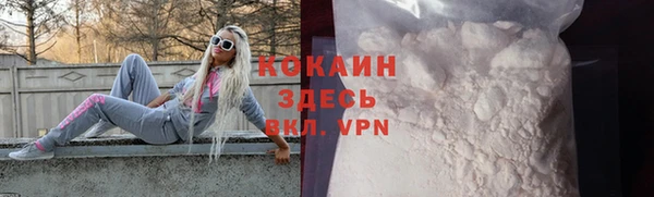 ПСИЛОЦИБИНОВЫЕ ГРИБЫ Вязники