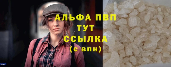 ПСИЛОЦИБИНОВЫЕ ГРИБЫ Вязники