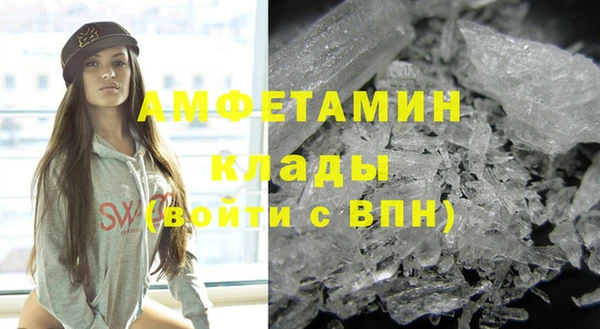 ПСИЛОЦИБИНОВЫЕ ГРИБЫ Вязники