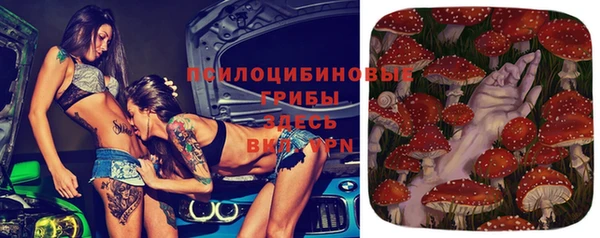 apvp Вязьма
